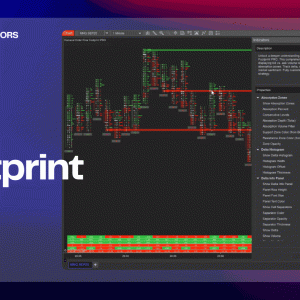 Hameral Order Flow Footprint