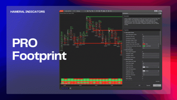 NinjaTrader Order Flow Indicators PRO Pack - Hameral