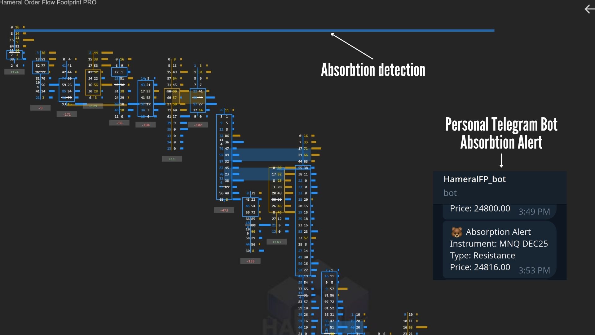 absorbtion detection footprint