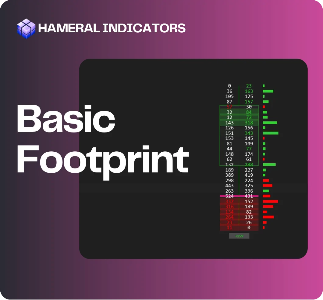 Basic Footprint Basic Footprint cover image